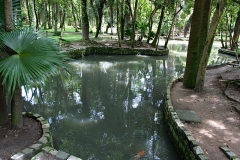 bosque_princesa1