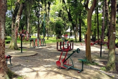 bosque_princesa2